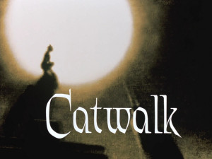 Catwalk