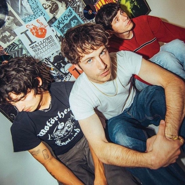 Wallows