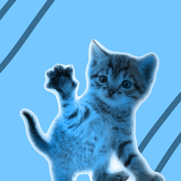 Cato