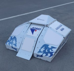 Diamond Warrior
