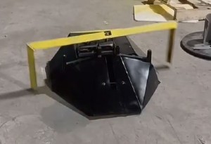 Scorpion