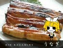 Unagi