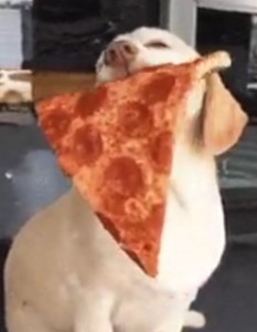 Happy Pizza Boi :)