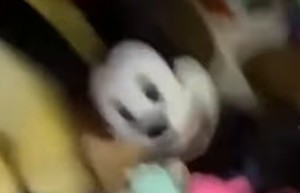 Oswald