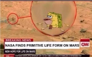 Spongegar on Mars