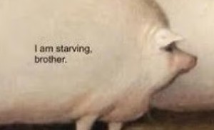 The Hungry Pig
