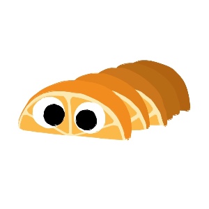 Orange Peelbug