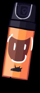 Raid