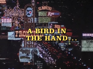 A Bird in the Hand…