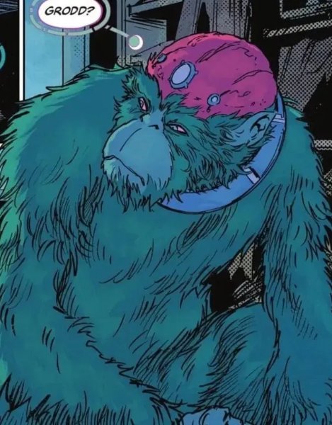 Grodd Sr.