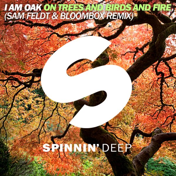 On Trees And Birds And Fire (Sam Feldt & Bloombox Remix)
