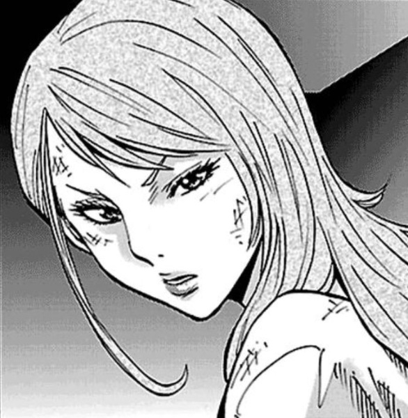 Shibuki