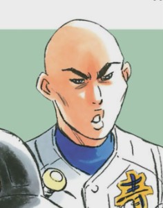 Higasa Shoji