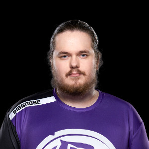 BigG00se