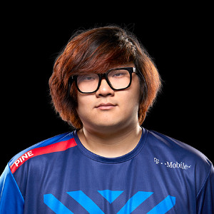 Pine