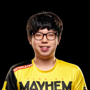 Sayaplayer