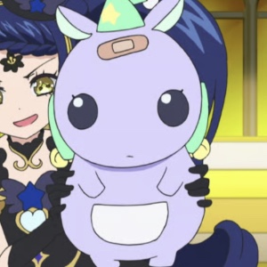 Pakku