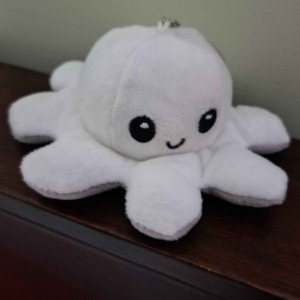 Baley Octopus