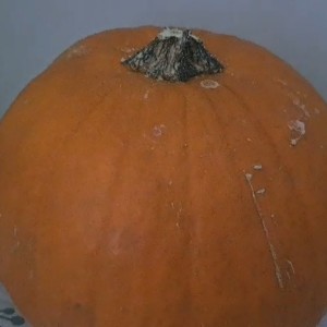 Great Pumpkin