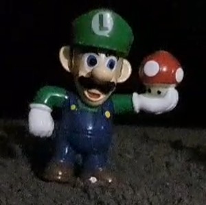 Luigi