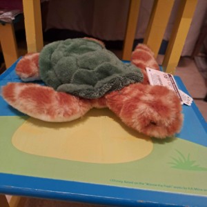 Timmy Turtle