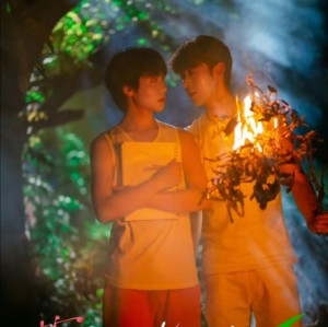 Secrets Happened on the Litchi Island