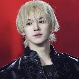 leeknow (skz)