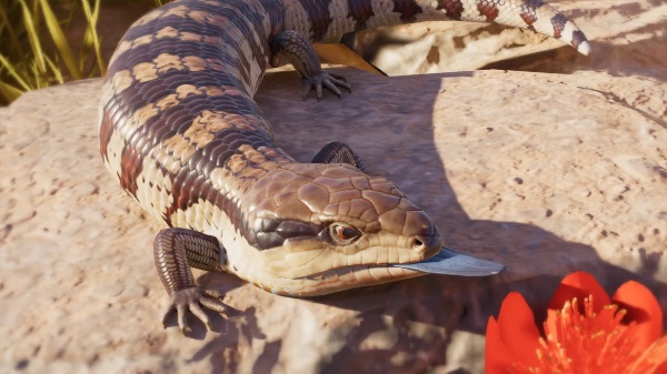 Common bluetongue
