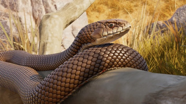 Eastern brown snake