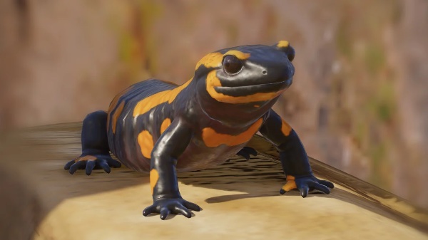 Fire salamander