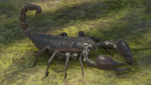 Giant forest scorpion