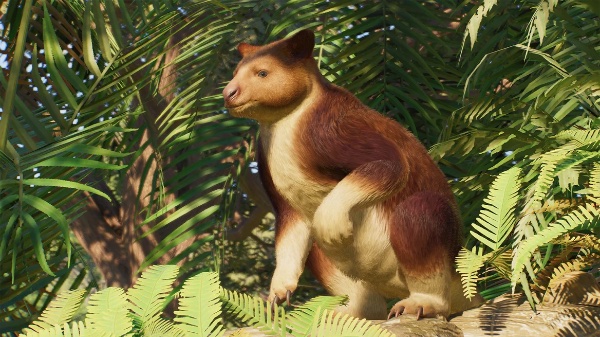 Goodfellow’s tree-kangaroo