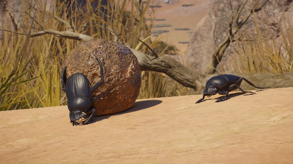 Sacred scarab beetle