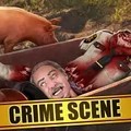Like a Pig to the Slaughter