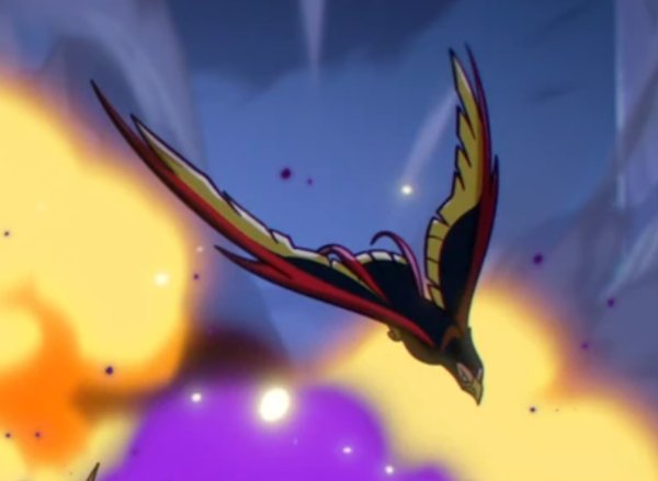 Bird