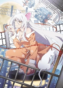 Black Hanekawa