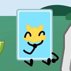 Cat card