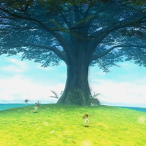 Grassy Playfield