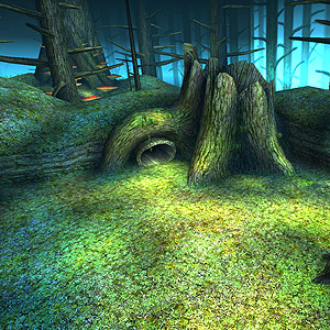 Lost Woods
