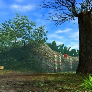 Road to Southern Swamp