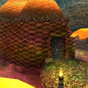 Swamp Spider House