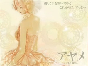 アヤメ (Ayame)