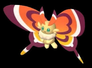 Cinnamoth