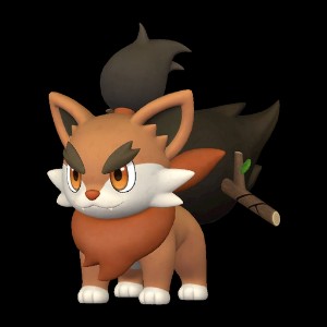 Pupperai