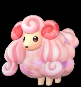 Woolipop