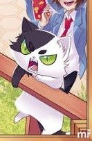 felino