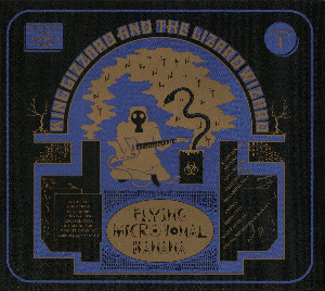 Flying Microtonal Banana