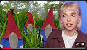 BURGLIN' GNOMES