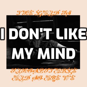 I Don't Like My Mind
