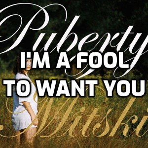 I'm a Fool to Want You